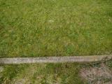 image of grave number 389108